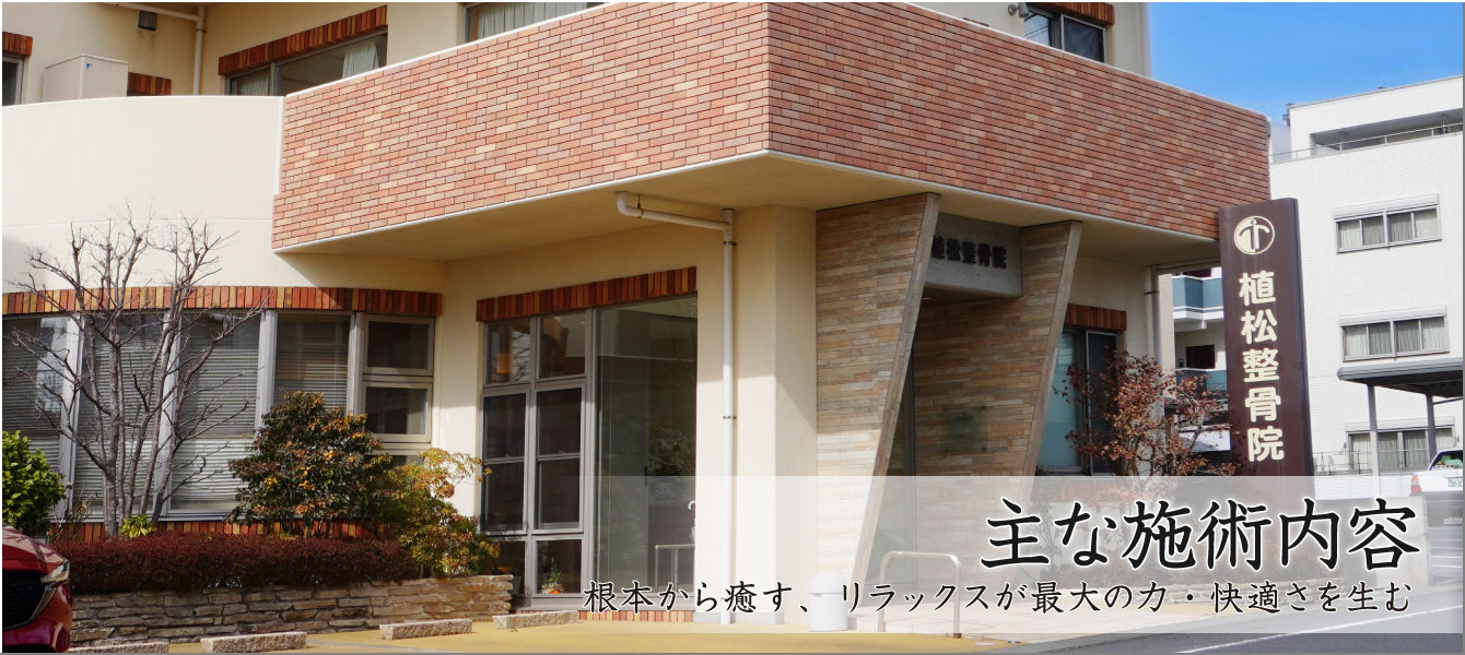主な施術内容